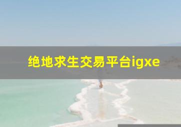 绝地求生交易平台igxe