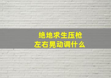 绝地求生压枪左右晃动调什么