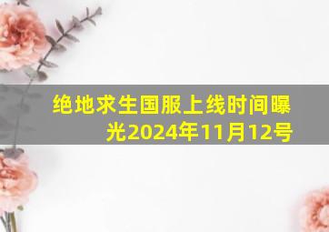 绝地求生国服上线时间曝光2024年11月12号