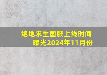 绝地求生国服上线时间曝光2024年11月份