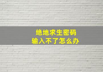 绝地求生密码输入不了怎么办