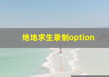 绝地求生录制option