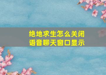 绝地求生怎么关闭语音聊天窗口显示