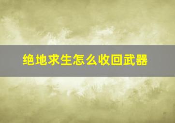 绝地求生怎么收回武器