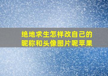 绝地求生怎样改自己的昵称和头像图片呢苹果