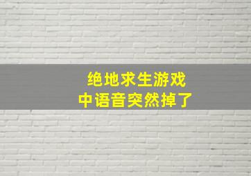 绝地求生游戏中语音突然掉了