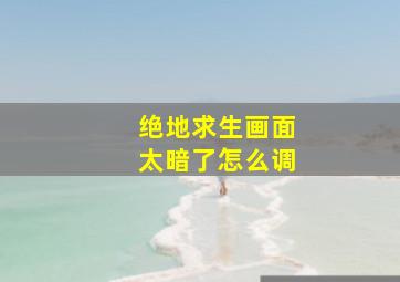 绝地求生画面太暗了怎么调