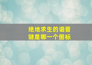 绝地求生的语音键是哪一个图标