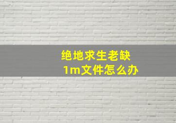 绝地求生老缺1m文件怎么办