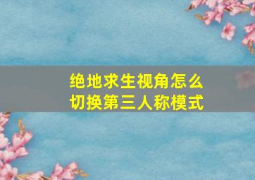 绝地求生视角怎么切换第三人称模式