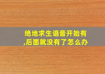 绝地求生语音开始有,后面就没有了怎么办