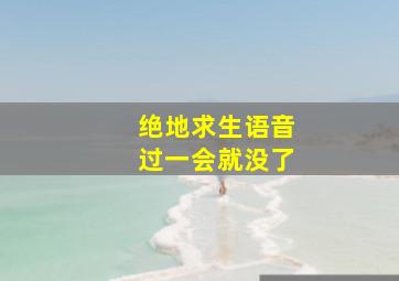 绝地求生语音过一会就没了