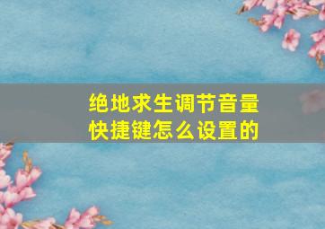 绝地求生调节音量快捷键怎么设置的