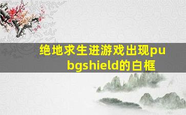 绝地求生进游戏出现pubgshield的白框