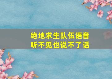 绝地求生队伍语音听不见也说不了话