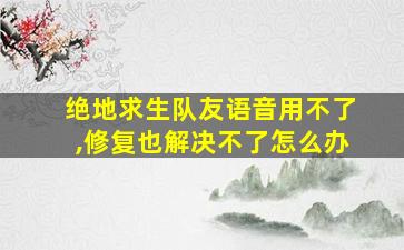 绝地求生队友语音用不了,修复也解决不了怎么办