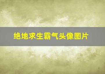 绝地求生霸气头像图片