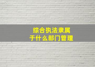 综合执法隶属于什么部门管理