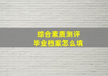 综合素质测评毕业档案怎么填