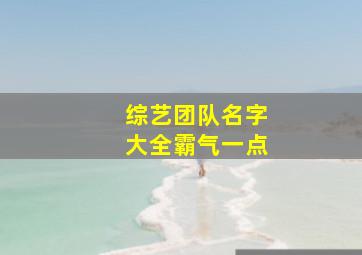 综艺团队名字大全霸气一点