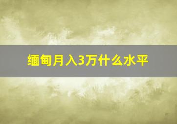 缅甸月入3万什么水平