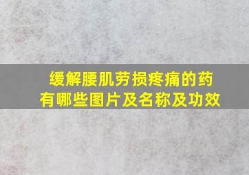 缓解腰肌劳损疼痛的药有哪些图片及名称及功效