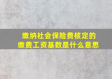 缴纳社会保险费核定的缴费工资基数是什么意思