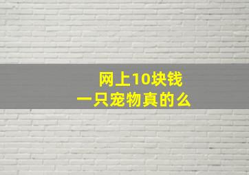 网上10块钱一只宠物真的么