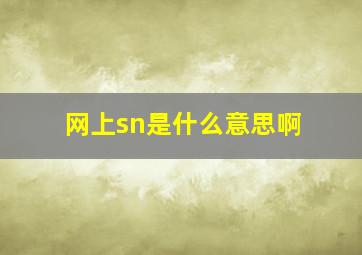 网上sn是什么意思啊