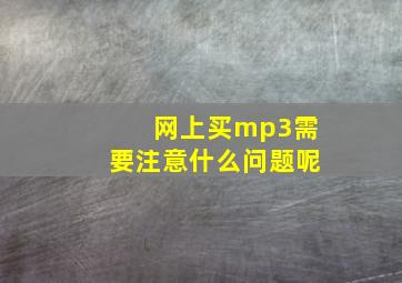 网上买mp3需要注意什么问题呢