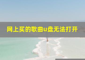 网上买的歌曲u盘无法打开