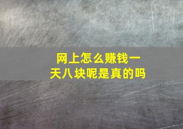 网上怎么赚钱一天八块呢是真的吗