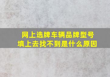 网上选牌车辆品牌型号填上去找不到是什么原因