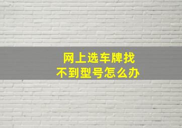 网上选车牌找不到型号怎么办