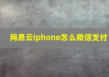 网易云iphone怎么微信支付