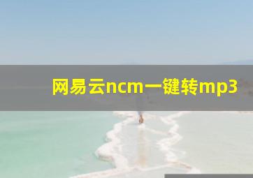 网易云ncm一键转mp3