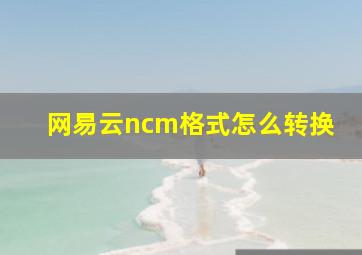 网易云ncm格式怎么转换