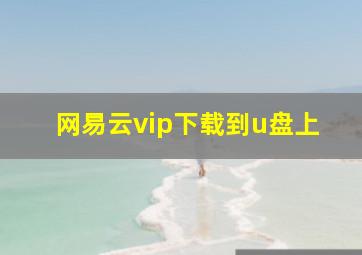 网易云vip下载到u盘上