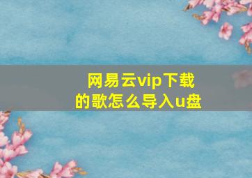 网易云vip下载的歌怎么导入u盘