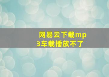 网易云下载mp3车载播放不了