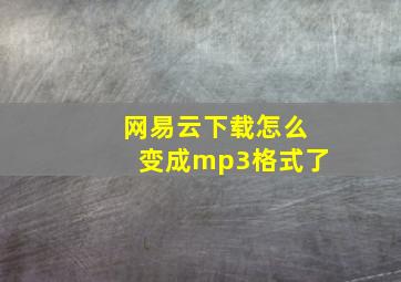 网易云下载怎么变成mp3格式了