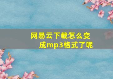 网易云下载怎么变成mp3格式了呢