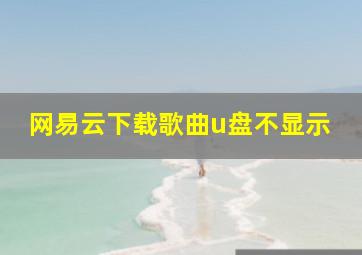 网易云下载歌曲u盘不显示