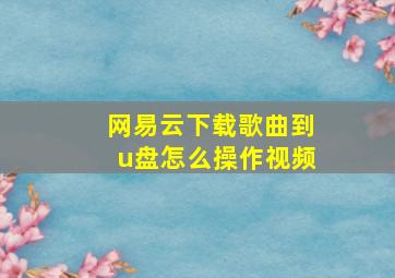 网易云下载歌曲到u盘怎么操作视频