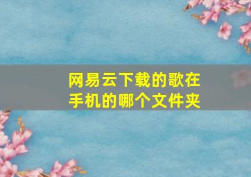 网易云下载的歌在手机的哪个文件夹