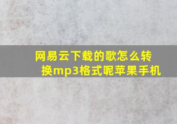 网易云下载的歌怎么转换mp3格式呢苹果手机