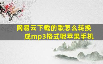 网易云下载的歌怎么转换成mp3格式呢苹果手机