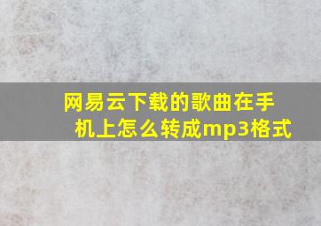 网易云下载的歌曲在手机上怎么转成mp3格式