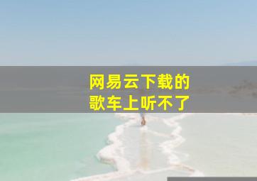 网易云下载的歌车上听不了