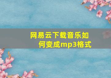 网易云下载音乐如何变成mp3格式